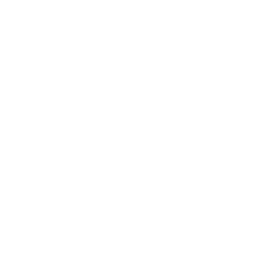 ícone do whatsapp